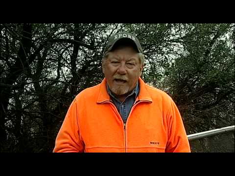 Quail Posts - Sounds A Quail Makes - Texas Wildlife Association