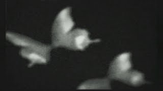 想いが見せる刺青の悪夢「零～刺青の聲～」実況プレイpart21