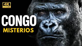 EL MISTERIOSO CONGO | Supervivencia En El Bosque Primitivo | Documental sobre animales