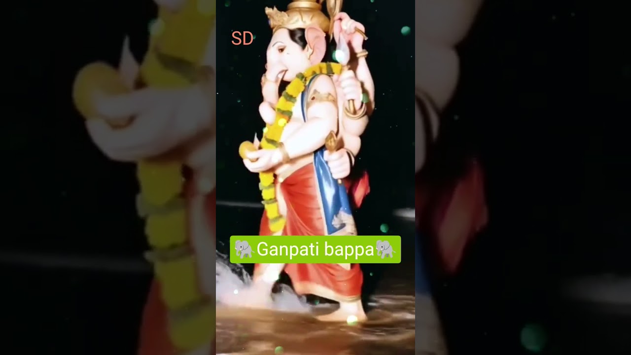 ✨आज का सबसे सुंदर गणेश दर्शन🌺#ganpati#ganpatibappamorya #shortsfeed #viralshorts #bhakti