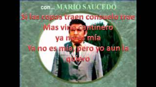 Mario Saucedo Las Noches las Hago Dias Letra
