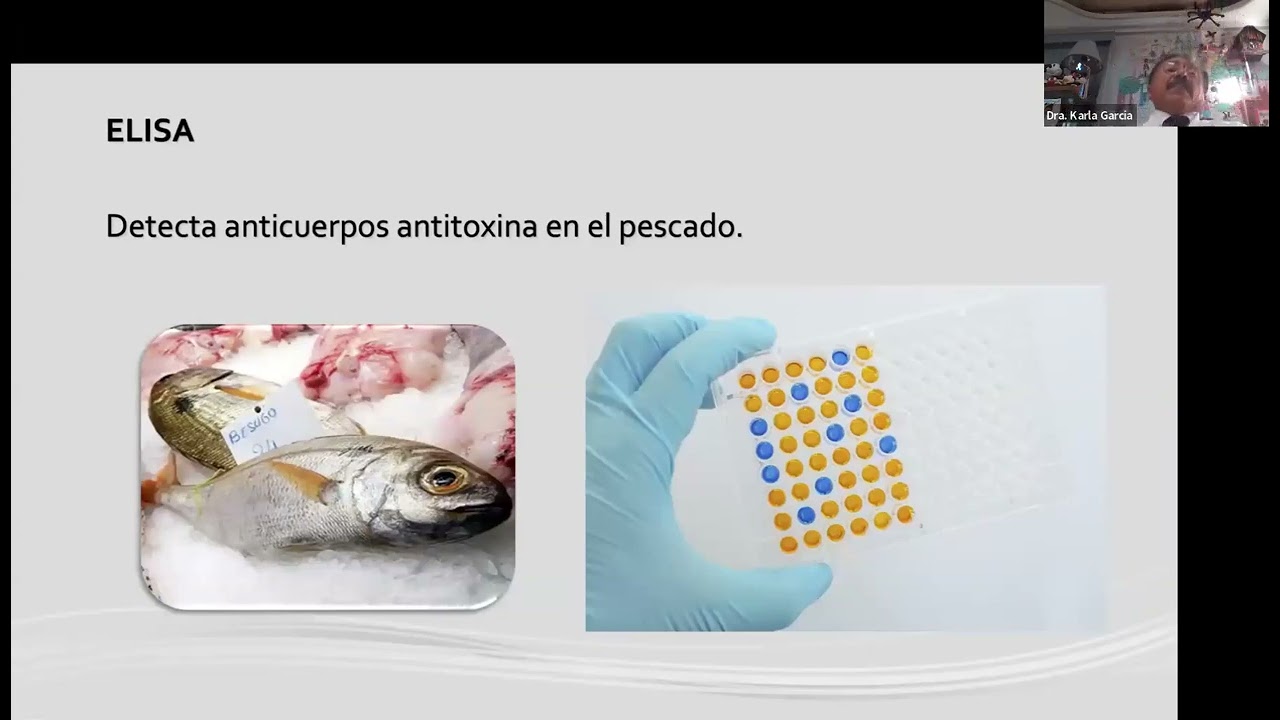 Intoxicación por animales marinos