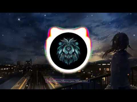 Shakira- Whenever,Wherever (Jamie Williams Remix)