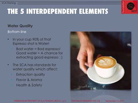 SCA Barista Foundation Module - Part 4 - Sharing my old PowerPoint slides with content explanations.