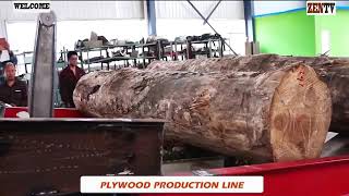 Plywood Production Line