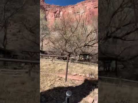 video of the campground from across the Bright Angel Trail