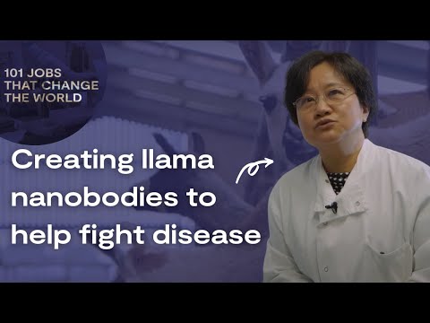 Llama antibody research at Royal Society science showcase
