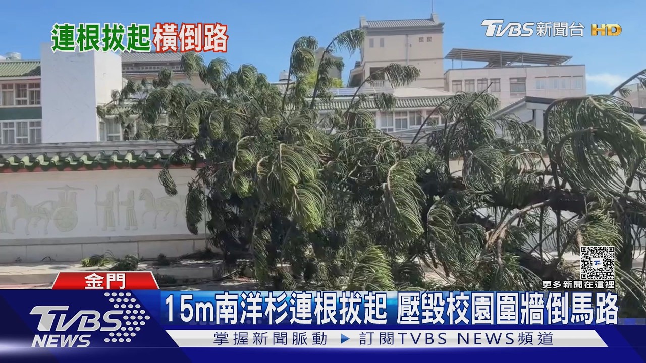 樹枝砸機車如「颱風過境」！修剪無預告　警：未申請可罰2400