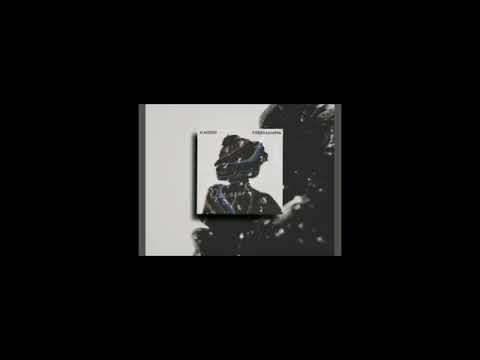 FREEMAN 996 & KAIZEN -QARAGAT (INSTRUMENTAL)