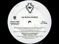 1995 Da Bush Babees Brooklyn Movements