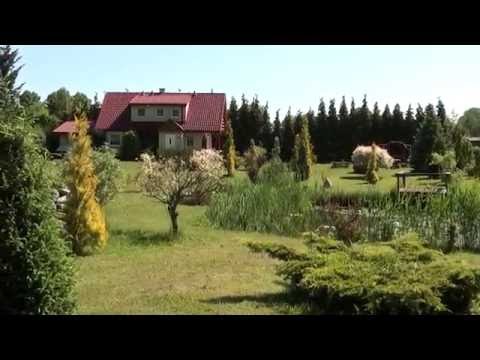 Moje wypady nad morze