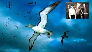 A Flock Of Seagulls - The More You Live, The More You Love (7_ Remix).mp4