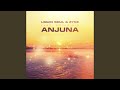 Anjuna (Radio Edit)