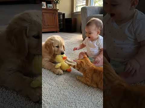 He opened the book and story time got two tiny helpers 🐶🐱#BabyStoryTime #PuppyAndCat #CuteBabyShorts