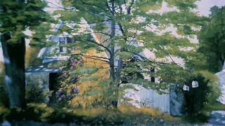 Meredith d'Ambrosio.wmv