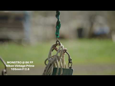 RED DSMC2 Monstro 8K | Lens Comparison Test