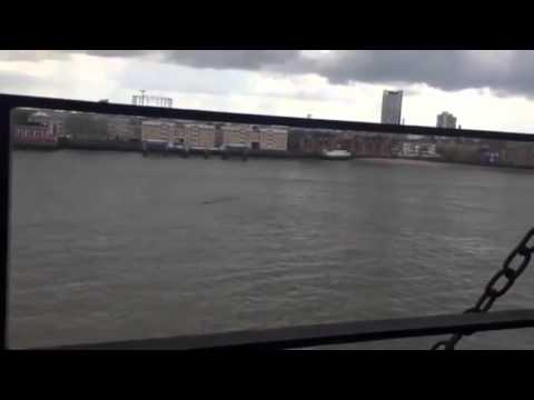 LOCHNESS MONSTER SIGHTING IN THE RIVER THAMES!! 13/04/2016