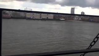 LOCHNESS MONSTER SIGHTING IN THE RIVER THAMES!! 13/04/2016