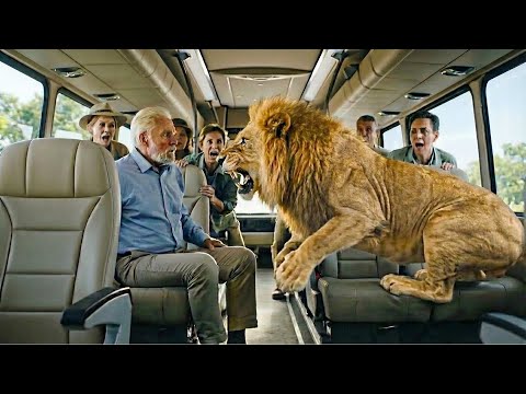 An Escaped Lion Entered the Bus. Everyone Ran Except One Old Man. Did the Old Man Survive?