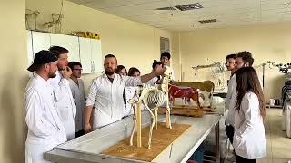 SİÜ SABE Veterinerlik Anatomisi Tezli Yüksek Lisans Programı Tanıtım V