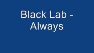 Black Lab - Always.wmv