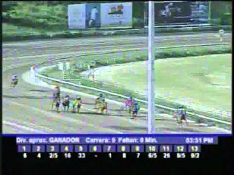 Resumen Domingo, 15 de Enero de 2012 - La Rinconada