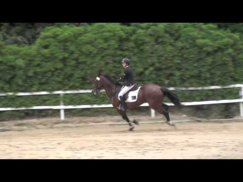 FEI WJC International Final Caracas 2013 - Rebekah Van Tiel / Gandalf - 2nd Qualifier - Gandalf