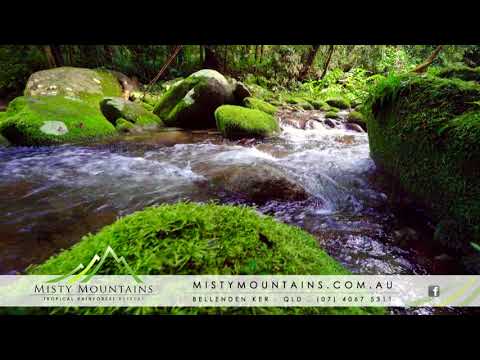 Misty Mountains Rainforest Retreat - 15 sec TVC