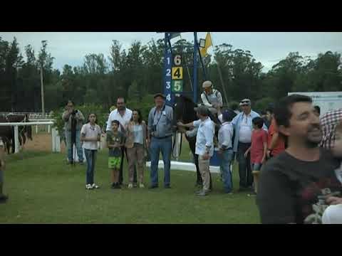 SINT MELO 220305 c09-1° MESTRE DI OURO