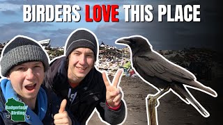 Birding the FAMOUS Brownsville Landfill!