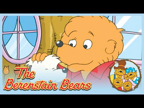 Berenstain Bears: Pet Show/ Pick Up And Put Away - Ep.31