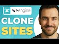 How To Clone Sites In WP Engine Hosting Step By Step