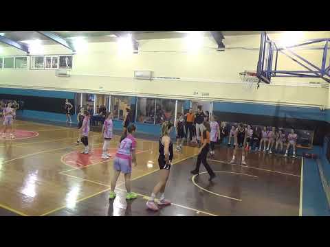 ZKK Vizura -  ZKK Art Basket