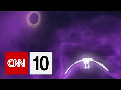 日食期間動物會做什麼？ (What Do Animals Do During A Solar Eclipse?)