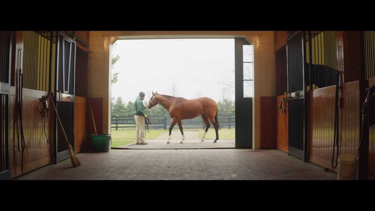 Lane's End The Official site of Lane's End Farm