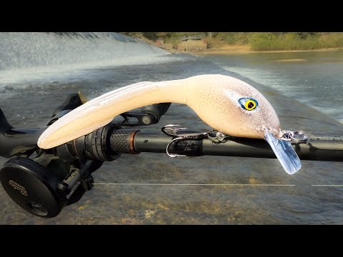 Was This As Seen On TV Lure Trolling Us?