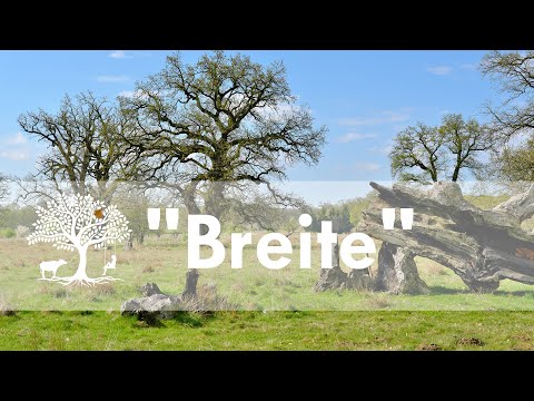 Hudewald Breite bei Schäßburg