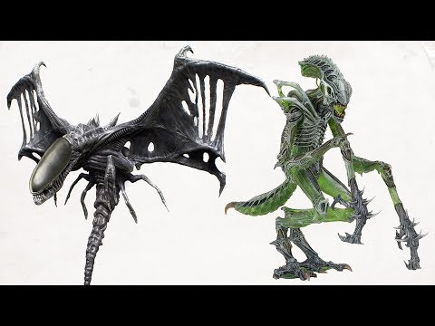 TOP 10 Rare And Exotic XENOMORPH TYPES