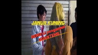 Download lagu JANUR KUNING  adipati band  cover RENO pengamen ganteng mp3