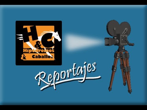 02Feb14 Reportaje : Asi se anestesia a un caballo, turf por Maspalomas