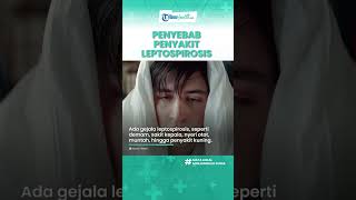 Kenali Apa itu Leptospirosis, Penyakit yang Rentan Menyerang Manusia dan Ini Gejalanya