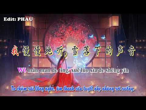 [Beat Karaoke + Vietsub] Âm Thanh Của Tuyết Rơi  (雪落下的声音) || Tần Lam || Tone nữ