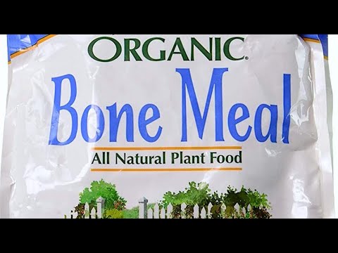 Benefits of BONE MEAL and How to Use It to INCREASE PHOSPHORUS? | Organic Hawaii | Gardening Tips
