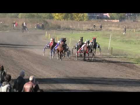 Trka "Fedra" 20.10.2021 Saphir AT - Miodrag Pantić