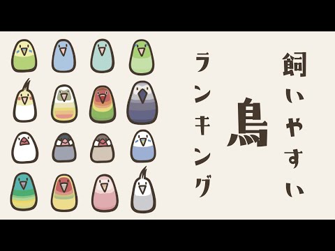 飼い鳥: 家で飼うのに最適な 6 種