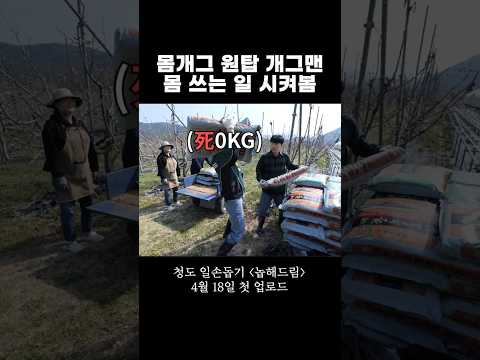 일 잘한다고 하면 안 되는 이유 [feat. 쌍둥이 개그맨의 청도 일손돕기]
