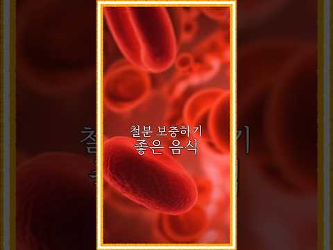 철분 보충하기 좋은 음식 영상 썸네일