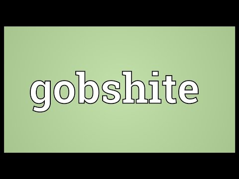 Gobshite Meaning