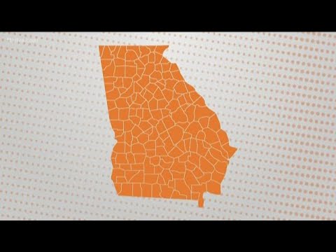 What are the 5 largest Georgia counties?