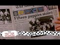 Pongo Perdita On The Run 10 15 Movie Scenes 101 Dalmatians 1996 HD